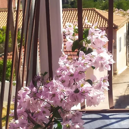 Obassys View Faraklata