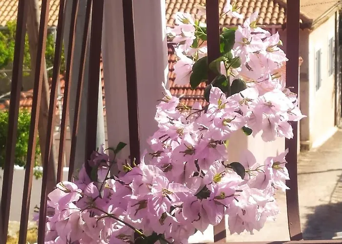 Obassys View Faraklata